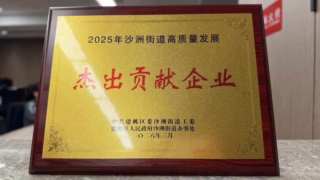 2025年沙洲街道高质量发展杰出贡献企业奖牌